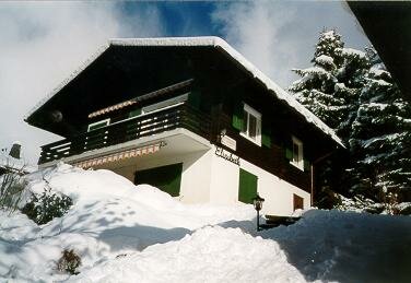 Ferienwohnung Chalet Elisabeth, Lenk im Simmental, Simmental, Berner Oberland, Schweiz, Bild 1