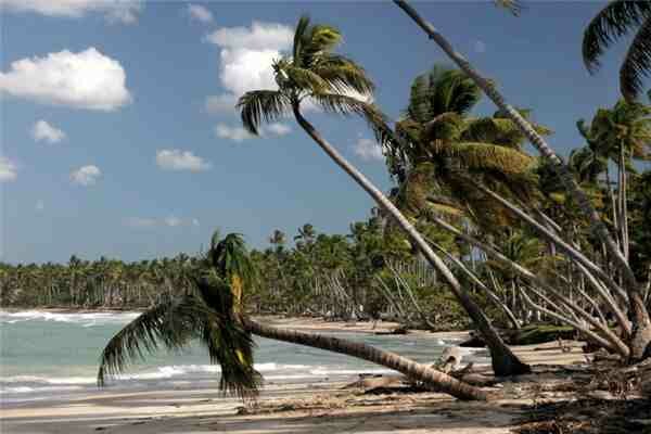 Ferienhaus Häuser am Meer, Punta Bonita, Halbinsel Samana, Dominikanische Republik, Karibische Inseln, Bild 1