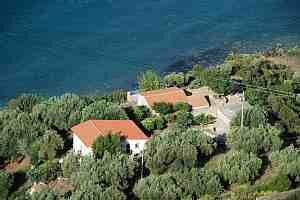 Holiday apartment Villa Marina, Pisciotta Marina, Cilento, Campania, Italy, picture 1