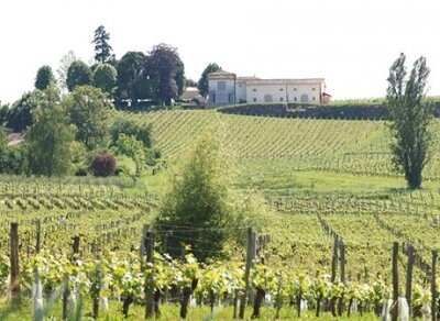 Ferienhaus Château 'Viticole', Saint Émilion, Bordeaux, Aquitanien, Frankreich, Bild 1