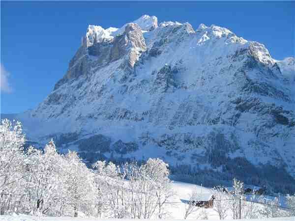 Ferienwohnung obere Egg, Grindelwald, Jungfrauregion, Berner Oberland, Schweiz, Bild 13