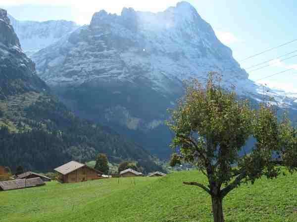 Ferienwohnung obere Egg, Grindelwald, Jungfrauregion, Berner Oberland, Schweiz, Bild 11