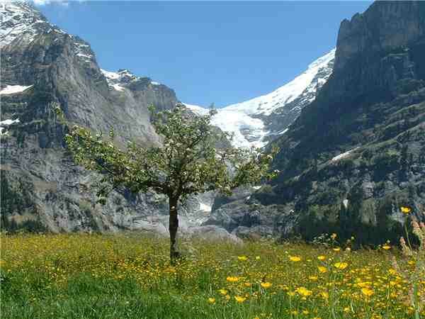 Ferienwohnung obere Egg, Grindelwald, Jungfrauregion, Berner Oberland, Schweiz, Bild 10