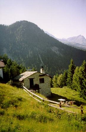 Holiday house Rustico Sumprai, Puschlav, Poschiavo, Grison, Switzerland, picture 2