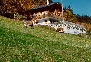 holiday home Chalet, Aletsch and Goms Area