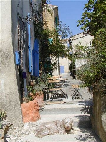 Haus Cabrires in Cabrires d'Aigues