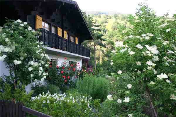 location vacances Dalmaison, Valais central