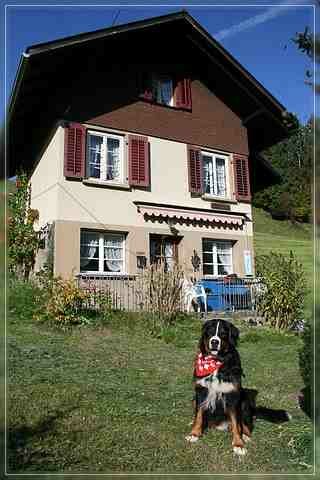 Holiday house Sunnbödeli/Jaggeli, Switzerland, Bern, Emmental Valley, Bumbach, picture 1