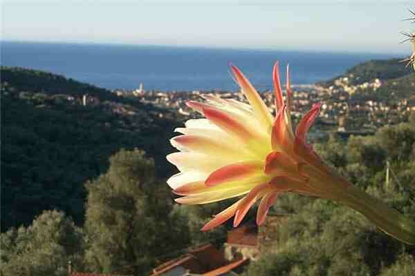 maison vacances Ca Gianca, Diano San Pietro