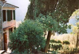 Holiday house Toskana020, Camaiore, Lucca - Versilia, Tuscany, Italy, picture 4