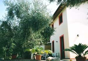 Holiday house Toskana022 , Massarosa, Lucca - Versilia, Tuscany, Italy, picture 1