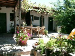 Ferienhaus Spanien,Kanarische Inseln,Teneriffa,El Jaral,Finca Palo Alto - CASA NIAGARA-,Ferien,Urlaub,Mieten,mieten,suchen,Fewo,Feha,Fewos,vermieten,Vermietung,Unterkunft,Urlaubsunterkunft,Ferienunterkunft,Unterkuenfte,Unterknfte,Unterkünfte,Apartment,Appartement,Herberge,Flat,Suite,Wohnung,Residenz,Htte,Huette,Hütte,Studio,Bungalow,Strandhaus,Chalet,Chalets,Ferienvilla,Villa