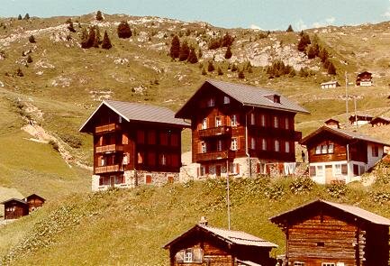 Ferienwohnung Chalet Riederalp 1